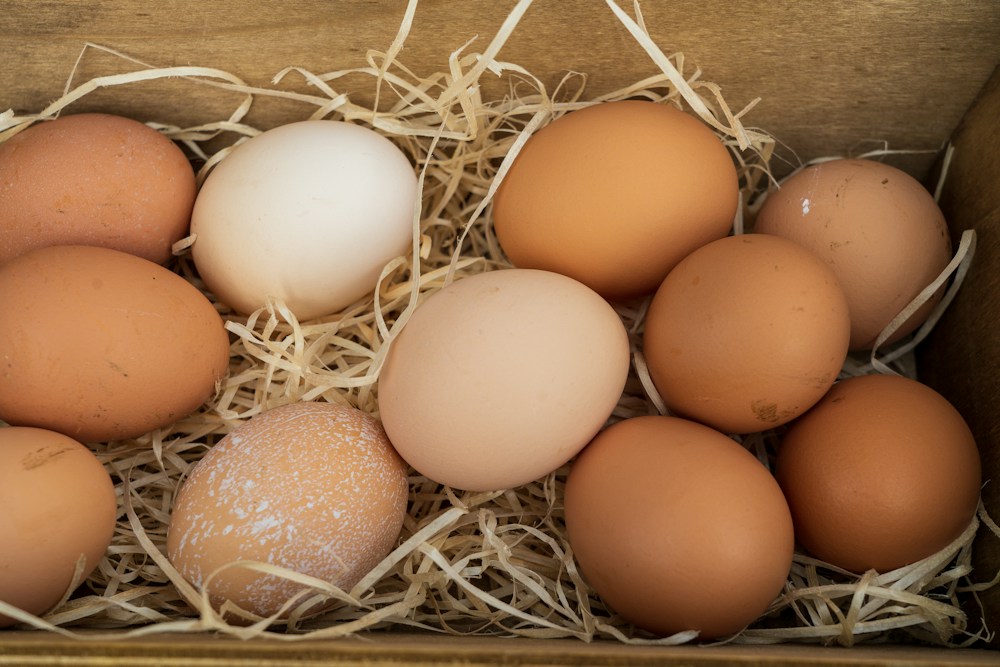 Brown eggs in straw