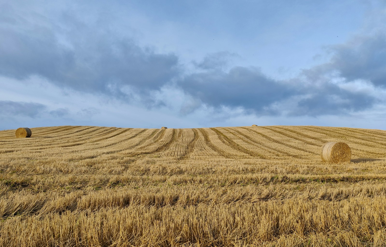 A cut hay field with round bales under a wide sky
